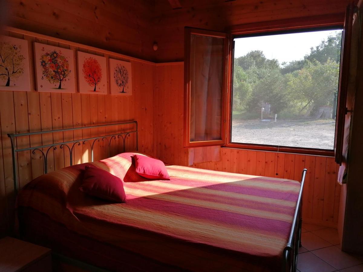 Agriturismo Bio Apipoli Lucino 外观 照片