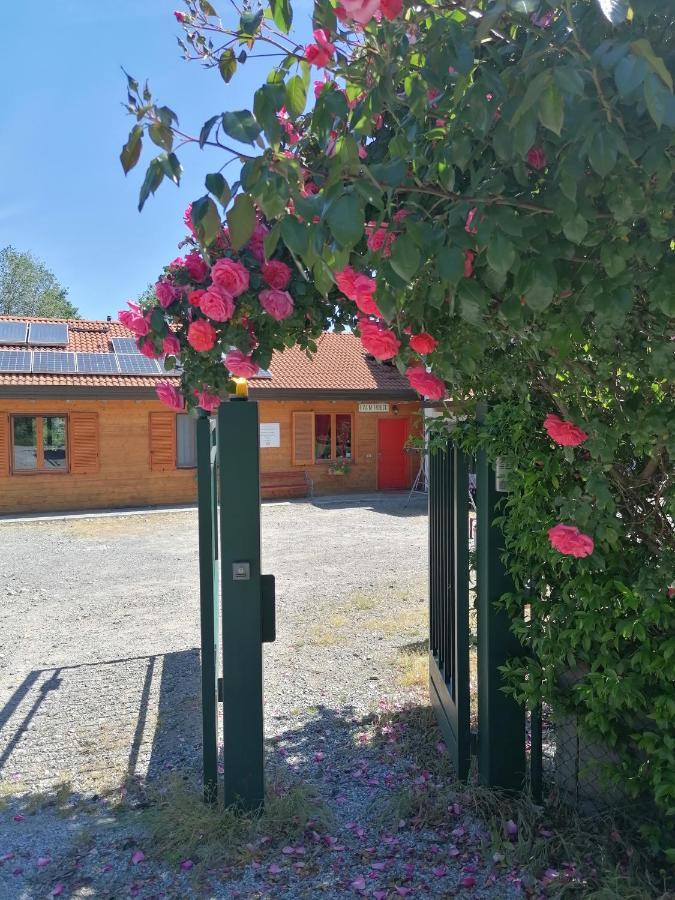Agriturismo Bio Apipoli Lucino 外观 照片