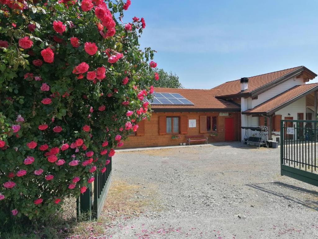 Agriturismo Bio Apipoli Lucino 外观 照片